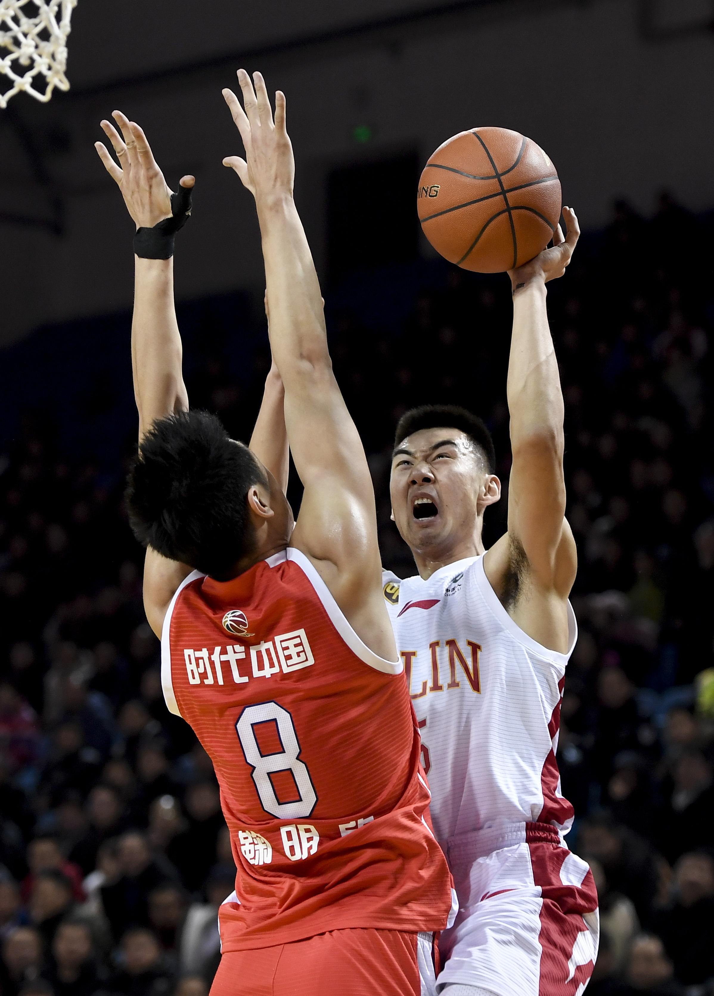 迷的关注 迷的关注