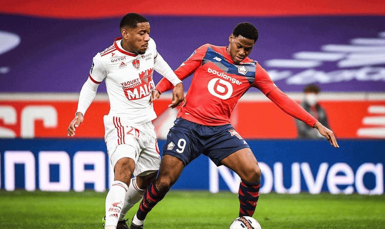 它的重要性 它的重要性