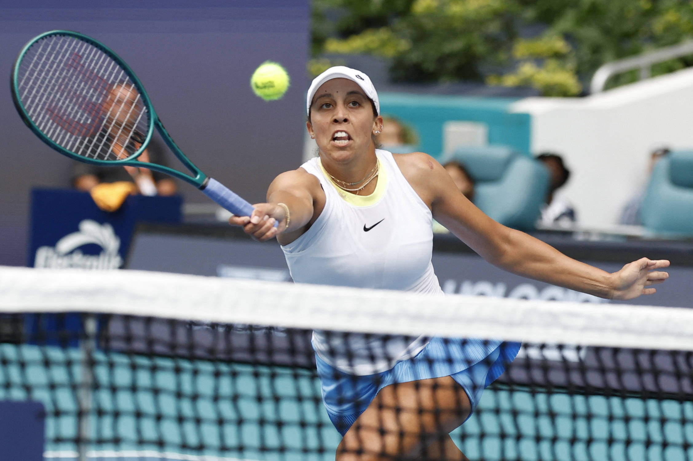 他们延续了 他们延续了