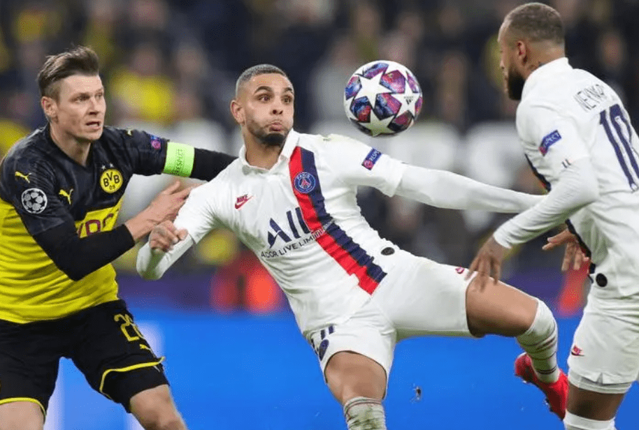 拒绝灰熊逆 拒绝灰熊逆